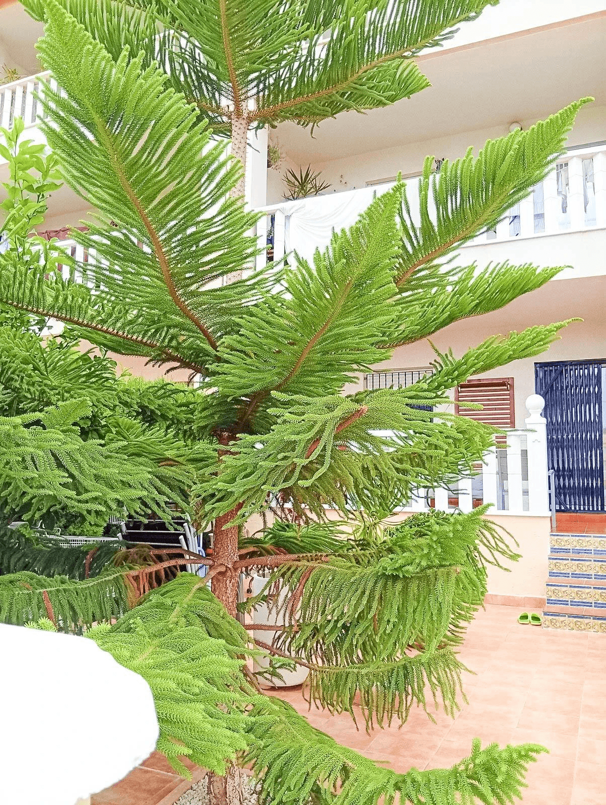 Bungalow til salg i Orihuela Costa